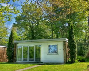 Watkin - Snowdon Cabins Dog friendly holiday let - Caernarfon